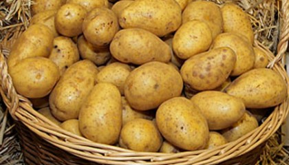 Kartoffeln